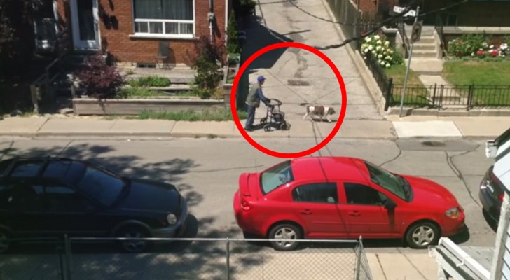 Een oude man wandelt over straat: wat de hond doet, getuigt van ware vriendschap