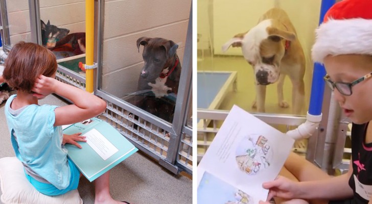 I bambini leggono libri davanti ai cani del canile: gli effetti sono sorprendenti