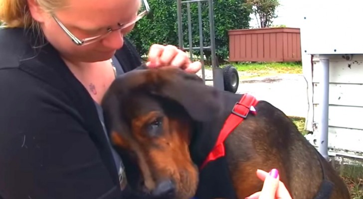 For years she was kept in chains: her acceptance of her new family is moving...