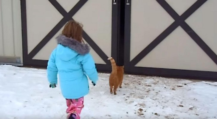La bambina segue il gatto nel fienile: all'interno la aspetta una sorpresa SPECIALE