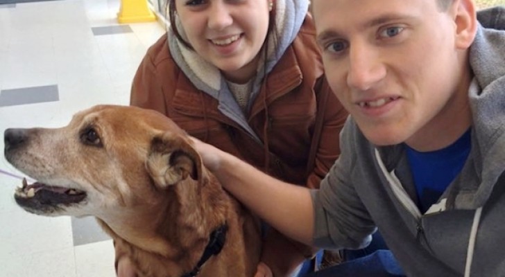 Adottano un cane di 17 anni e scrivono una promessa: le loro parole sono commoventi