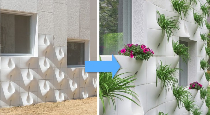 Ecco un'idea semplice ma ingegnosa per trasformare un muro in un giardino