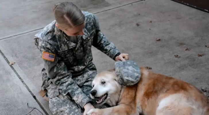 La ragazza torna a casa dopo una missione: la reazione del suo anziano cane è bellissima