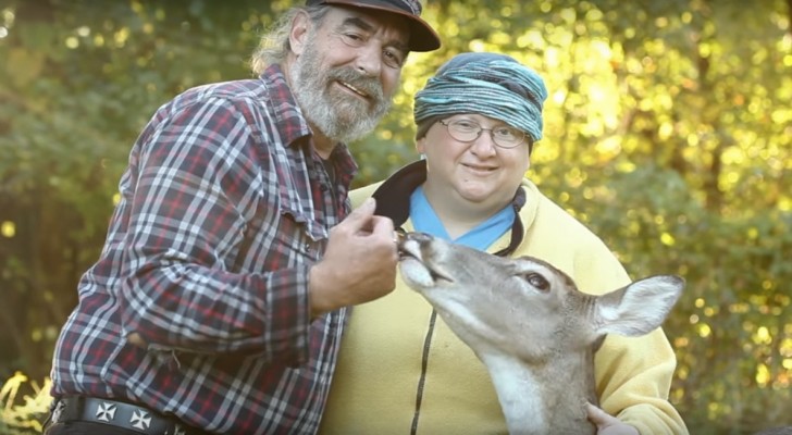 Salvam um cervo cego e depois será ele quem irá ajudar o casal de maneira especial