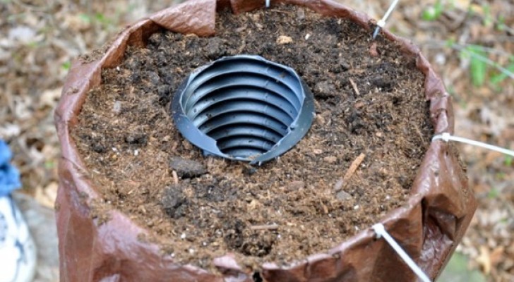 Han gräver ner ett plaströr i en kruka: här är en lysande idé för att ha frodiga växter