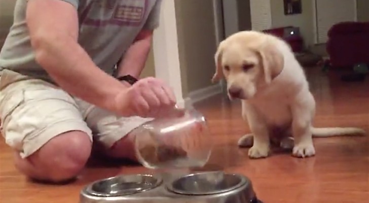 This puppy is very hungry --- But it knows what to do before eating!
