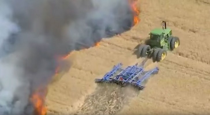 Un incendie brûle la moisson... voilà comment l'agriculteur parvient à l'arrêter. Quel courage!