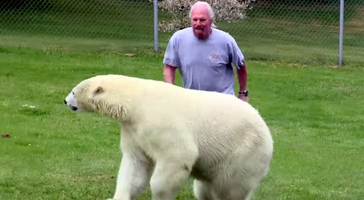 Se qualcuno provasse a fare all'orso ciò che gli fa quest'uomo, diventerebbe la sua cena