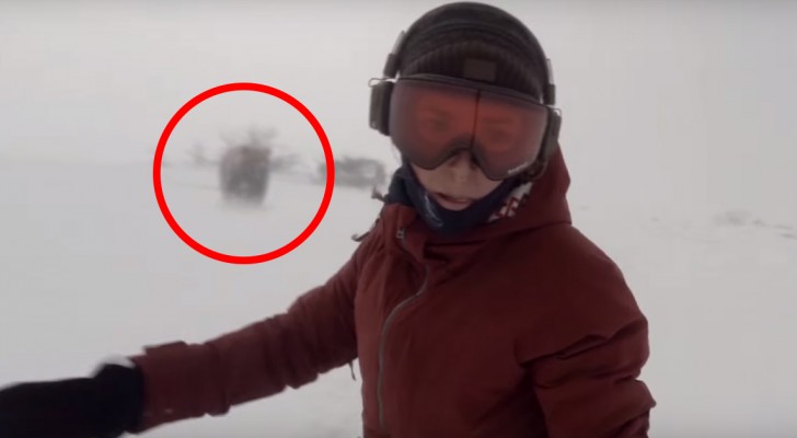 Une jeune fille descend avec le snowboard, mais elle ne se rend pas compte que "quelqu'un" la suit...