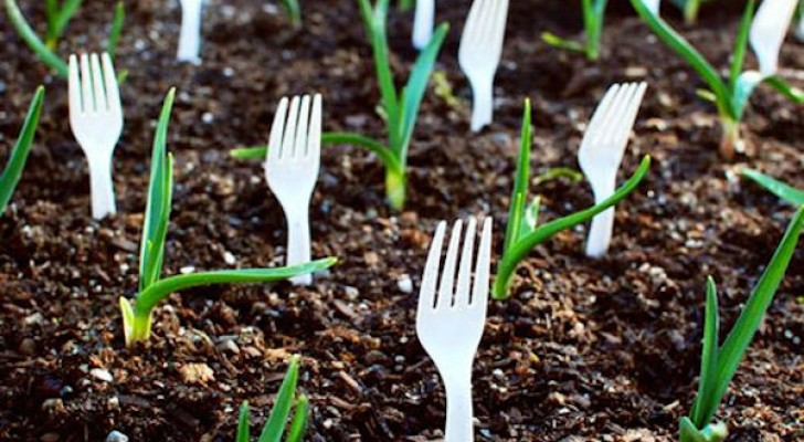 Jardinage sans problème: 11 astuces originales qui vous seront utiles