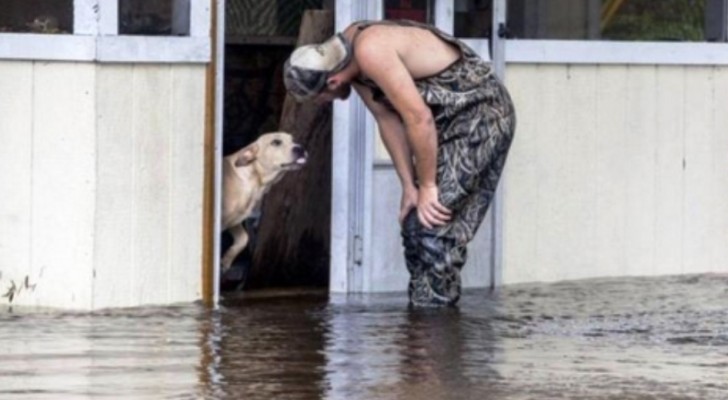 Vede un cane abbandonato durante un'alluvione: l'incontro cambierà la vita di entrambi