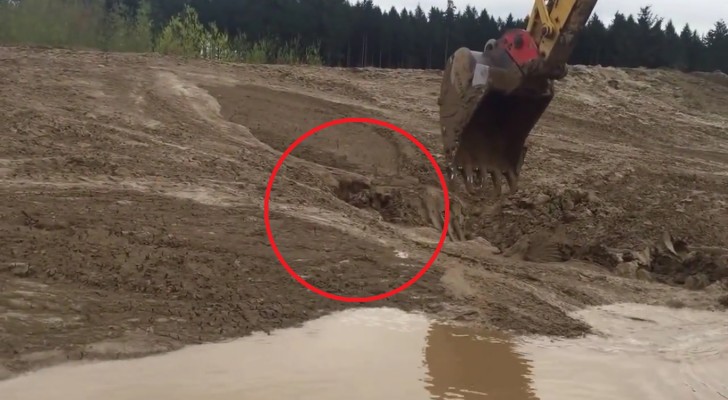 Um operário vê algo que se move na lama: o que consegue fazer é incrível!