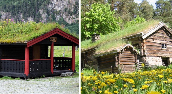 I tetti verdi norvegesi: le suggestive immagini di una tradizione antichissima