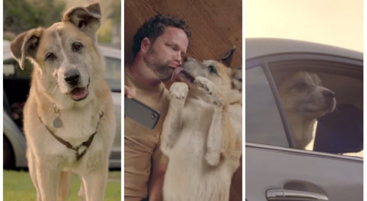 Hij stapt met zijn hond in de auto... de manier waarop hij de dag met het dier doorbrengt is emotioneel