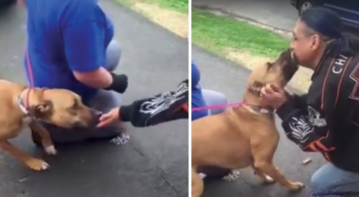 He found the dog that he had lost long ago --- Their reunion is so joyous and heartwarming!
