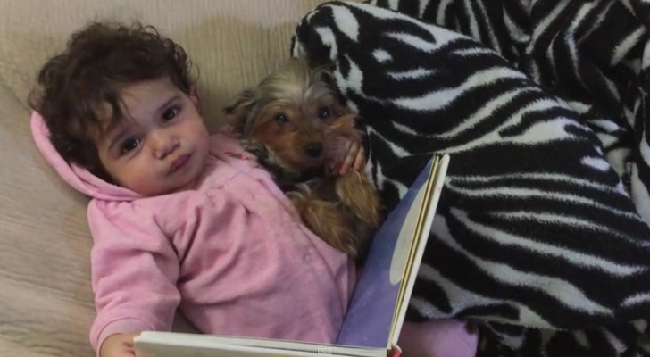 This little girl and her dog do this every night --- their cuteness is irresistible!