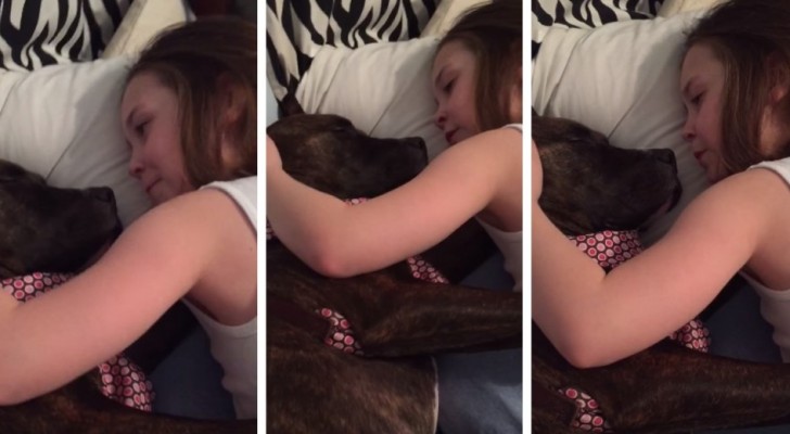 La bambina canta una ninna nanna al suo cane: il momento è pura magia