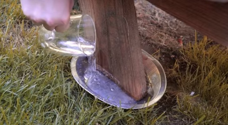 Il met le pied de la table dans un récipient rempli d'eau: pourquoi? Pratique et écolo!