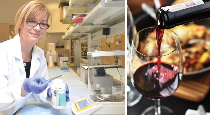 Dei ricercatori scoprono un sorprendente effetto del vino rosso sulla progressione di un tumore