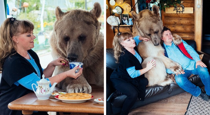 Ils trouvent un ours orphelin dans la forêt: voici comment ils vivent 23 ans après