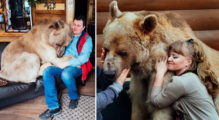 Una coppia adotta un cucciolo di orso: ecco come vive 23 anni dopo