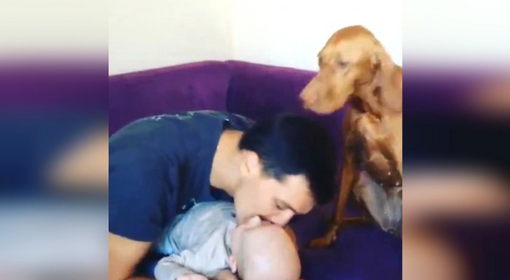 Elke keer als deze papa zijn zoontje kust, reageert de hond hier heel schattig op! 