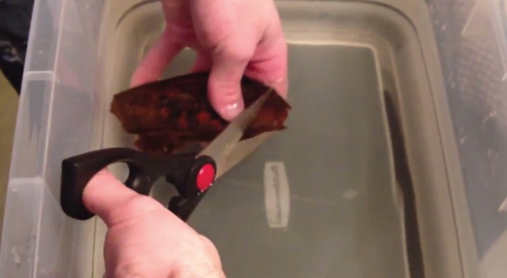 A man cuts a strange object --- what happens next is totally unexpected!