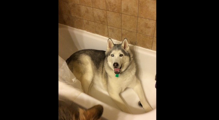She tells him to get out of the bathtub --- but he "asks" for something in return!