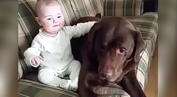 Es por esto que CADA niño deberia crecer junto a un perro...Magnifico!