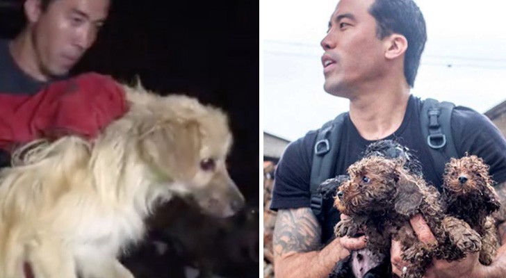 A man saves over one thousand dogs from the Yulin Dog Meat Festival!