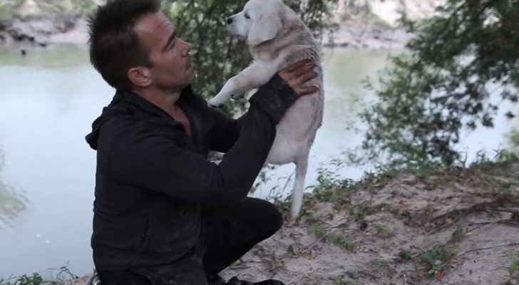 Een man vindt een pup in een zak in de rivier... het verhaal dat zich dan ontvouwt, is ontroerend! 