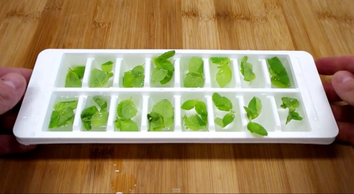 Put mint in an ice cube tray --- the quick way to prepare a famous cocktail at home! 