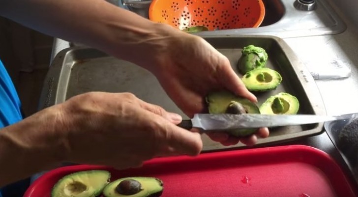 Freeze avocados and consume them during the winter!