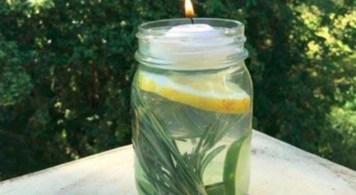 Get rid of pesky mosquitoes the natural way!