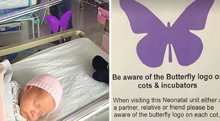 Hai mai visto un adesivo a forma di farfalla vicino ad un neonato? Ecco cosa sta a significare