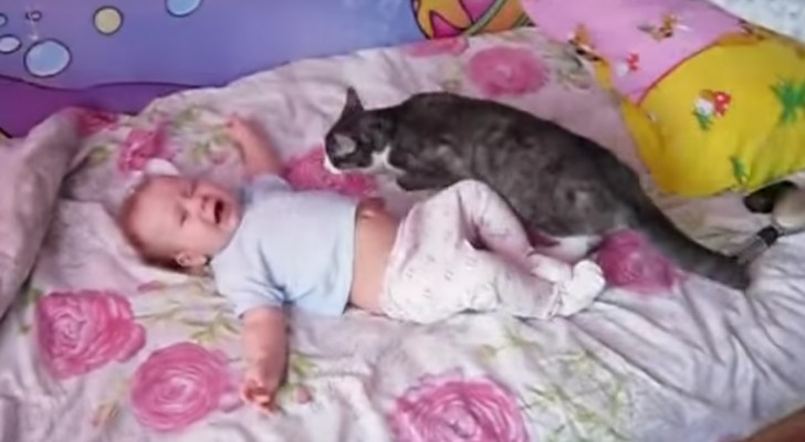 Um bebê está muito agitado na cama: veja como o gato tenta acalmá-lo...