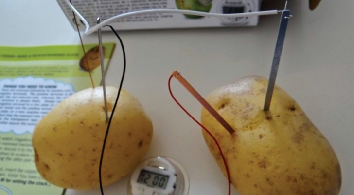 Batterie naturali: ecco come ottenere elettricità usando... una patata