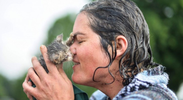 Você não imagina o que esta mulher foi capaz de fazer para salvar um gatinho!