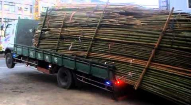 Come scaricare il bambù - LIKE A BOSS