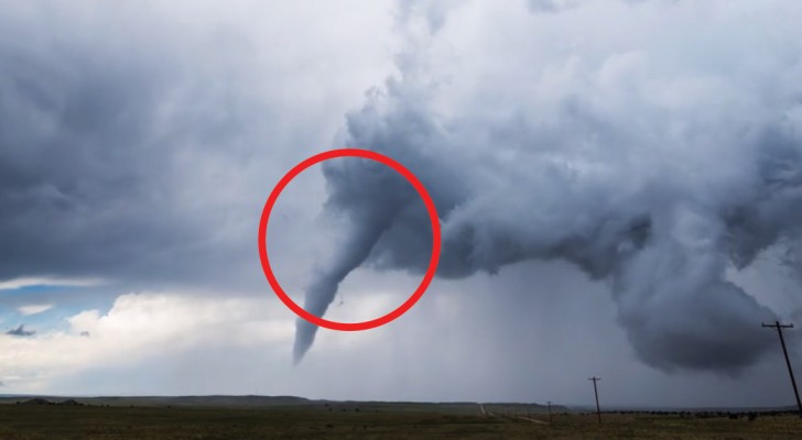 The spectacular birth of a tornado --- as never shown before!