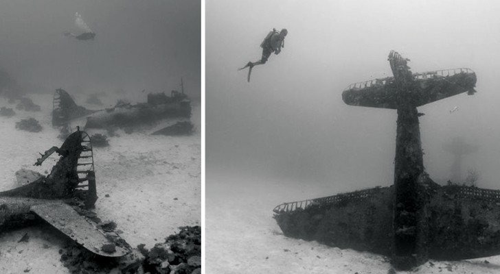 Une instructrice de plongée découvre un cimetière d'avions au milieu du Pacifique. Mais il y a une explication