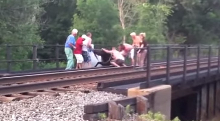 They notice something on the rails --- Teamwork saves the day!