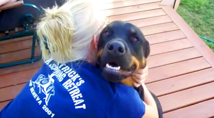 A lady begins to cuddle her dog --- his reaction is as sweet as . . . unexpected!