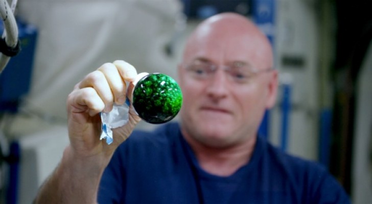 Put an effervescent tablet in water in zero gravity --- Look what happens!