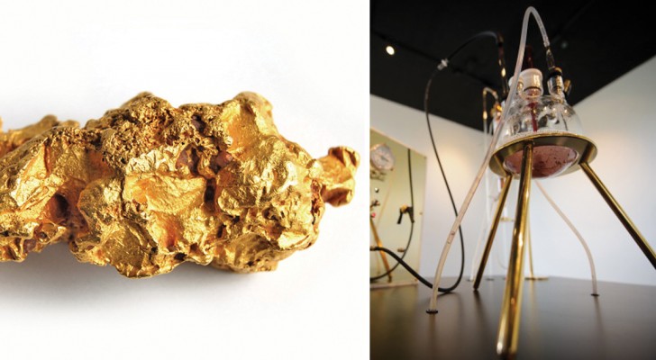 Ricavare oro purissimo dai batteri: ecco il progetto che unisce arte, scienza e alchimia