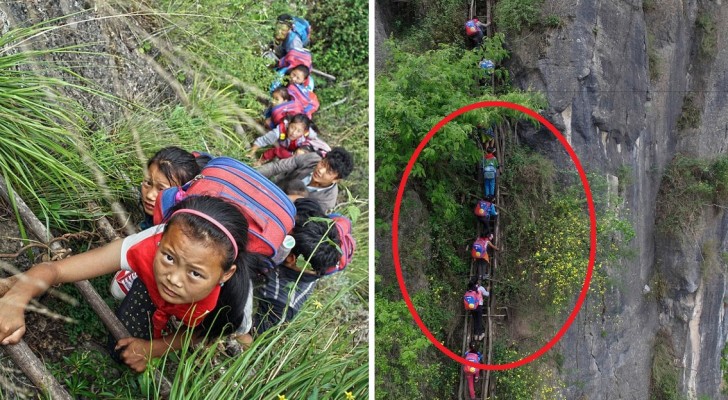 These Chinese kids climb a "Stairway to Heaven" to go to school! 
