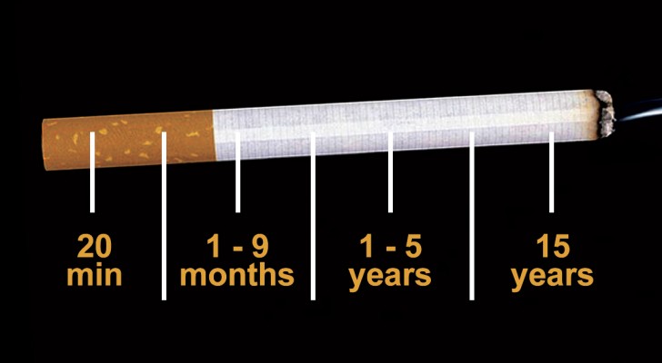 Voici ce qui arrive à votre corps à partir du moment précis où vous arrêtez de fumer
