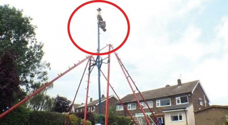 He mounts a gigantic backyard swing -- look what it can do . . . Wow!