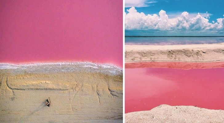 Spiagge bianche e acque... rosa: le increbili immagini del paradiso terrestre messicano