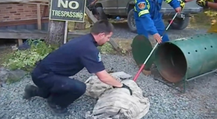 Compassionate conservation officer saves orphaned bears!